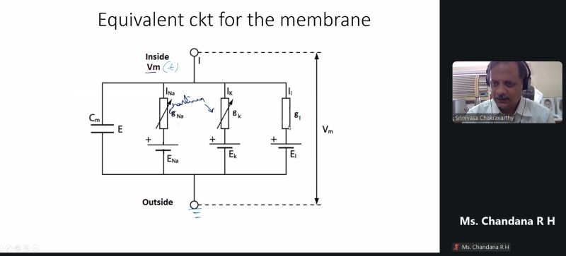 5-day Computational Neuroscience Workshop content